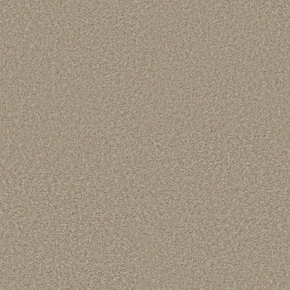 TEXTURE BCF