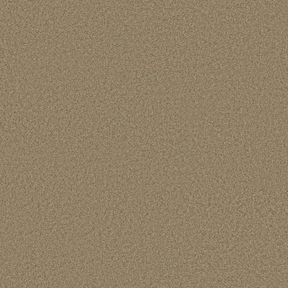 TEXTURE BCF