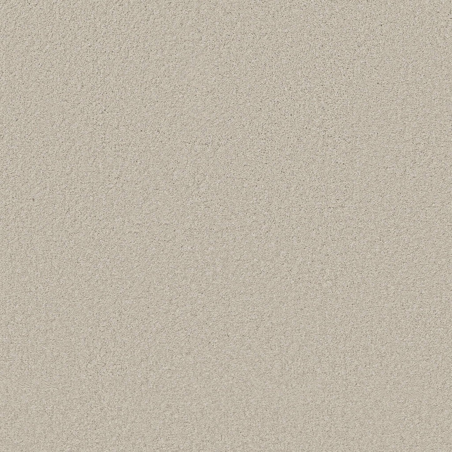 TEXTURE BCF