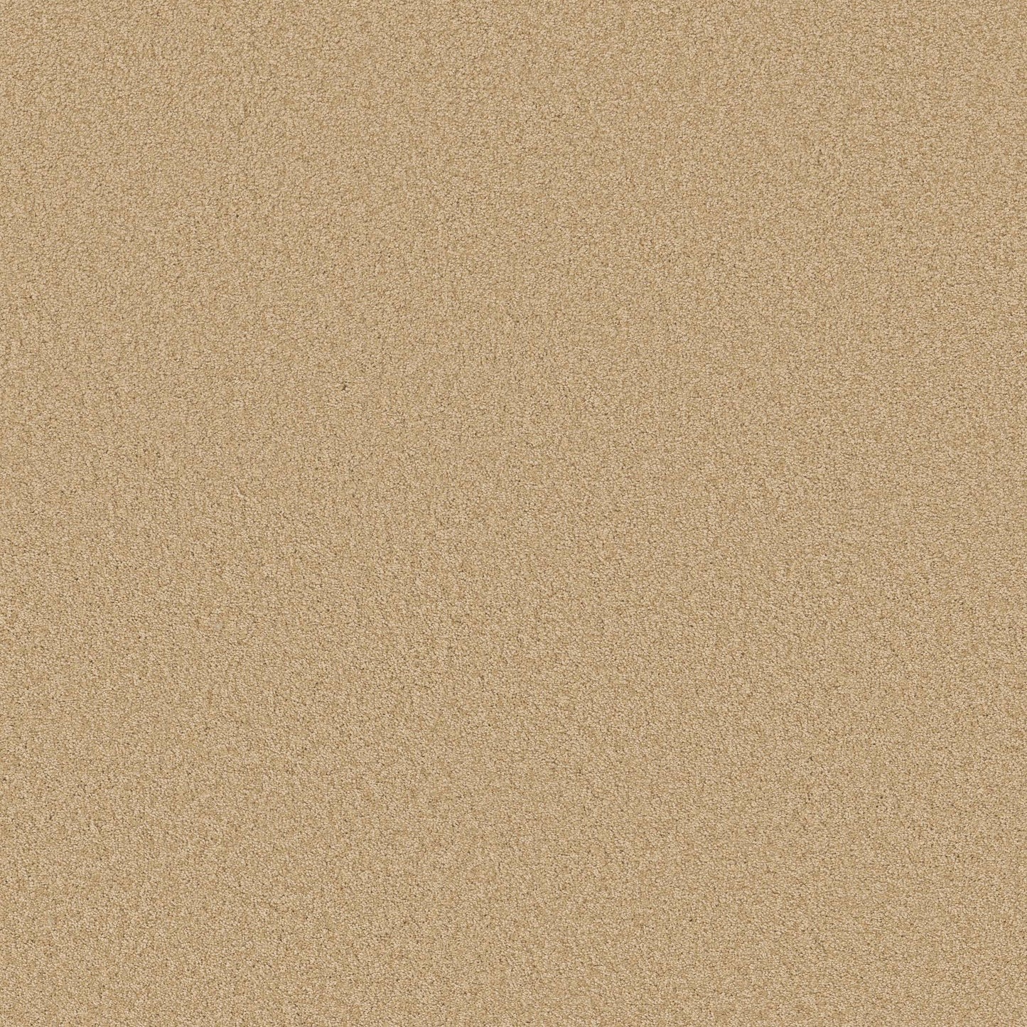 TEXTURE BCF