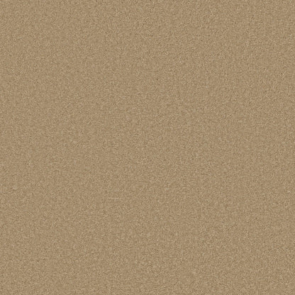 TEXTURE BCF