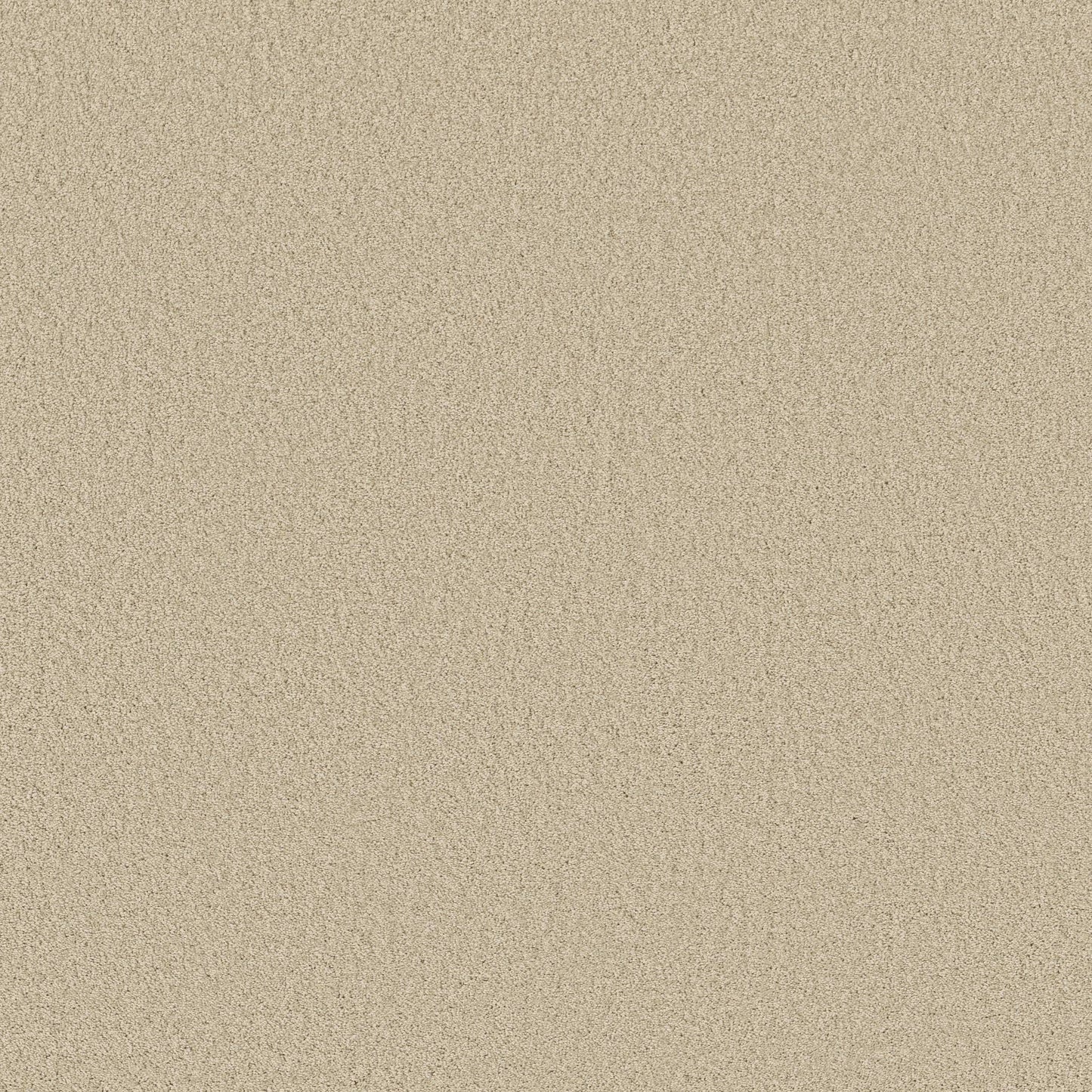 TEXTURE BCF