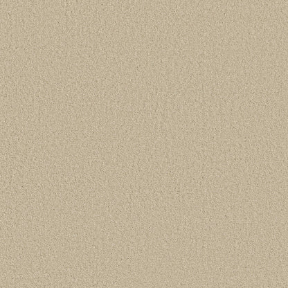 TEXTURE BCF
