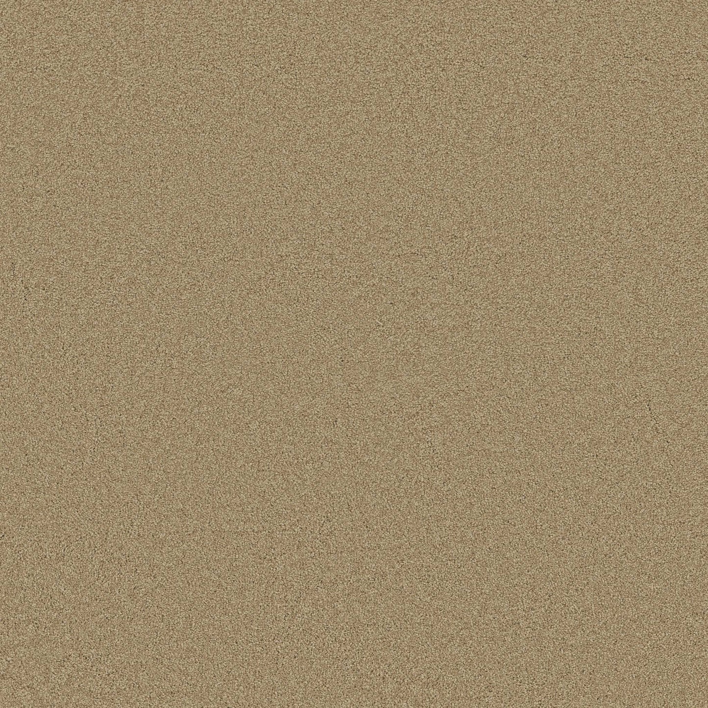 TEXTURE BCF