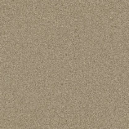 TEXTURE BCF