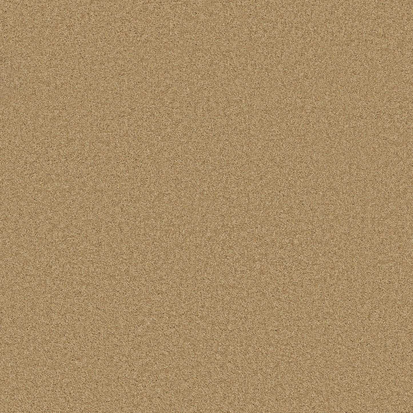 TEXTURE BCF