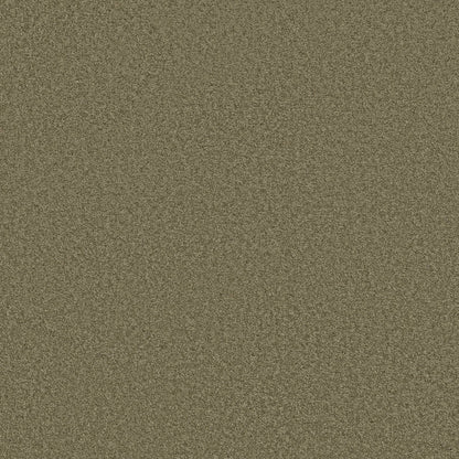 TEXTURE BCF
