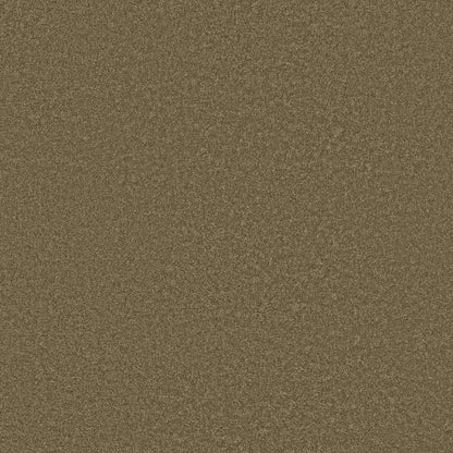 TEXTURE BCF