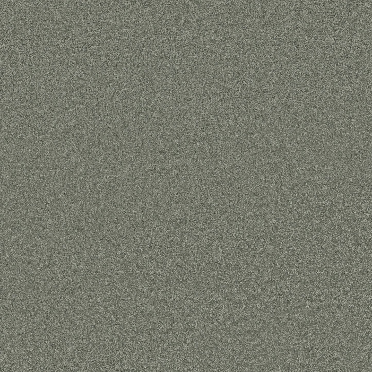 TEXTURE BCF