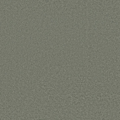 TEXTURE BCF