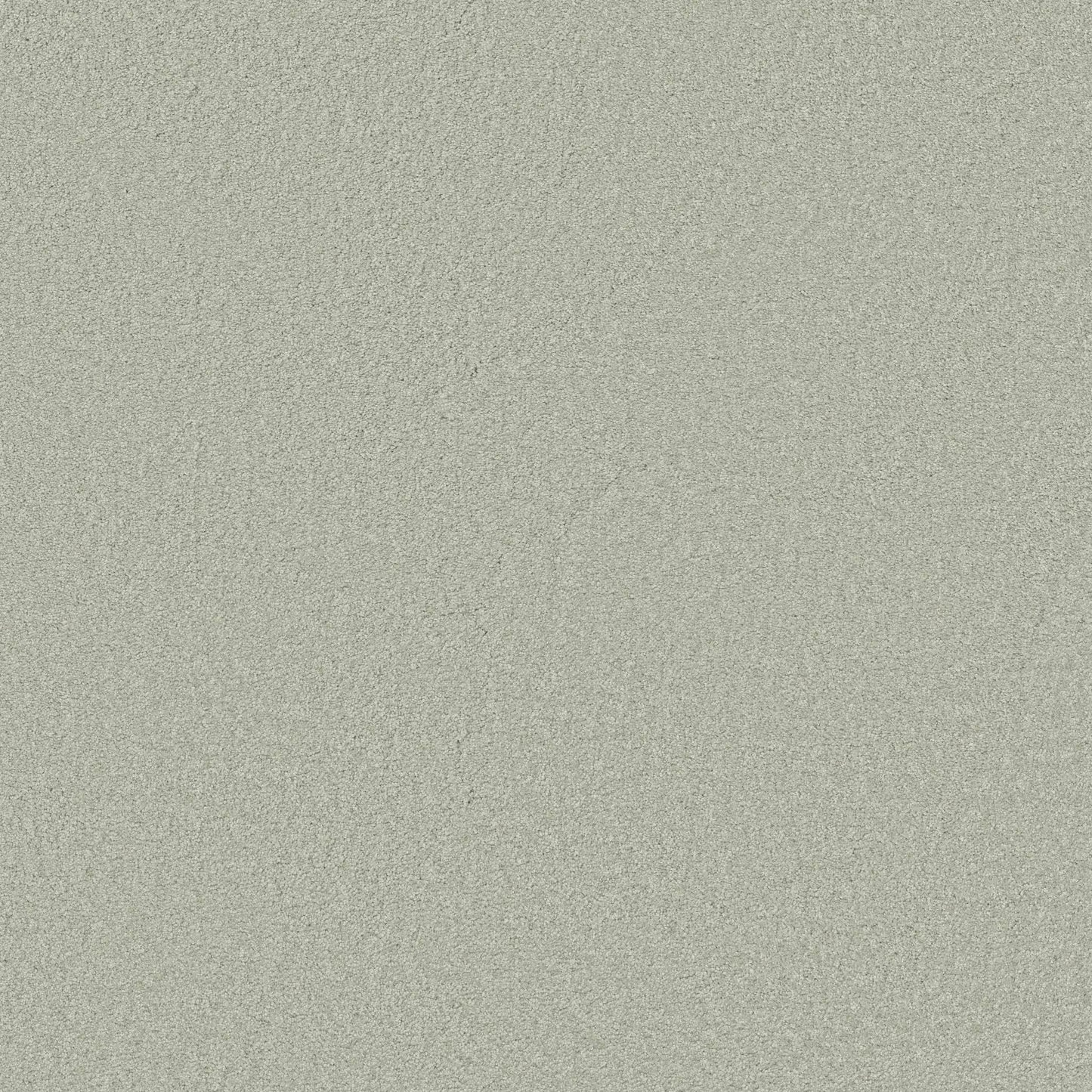 TEXTURE BCF