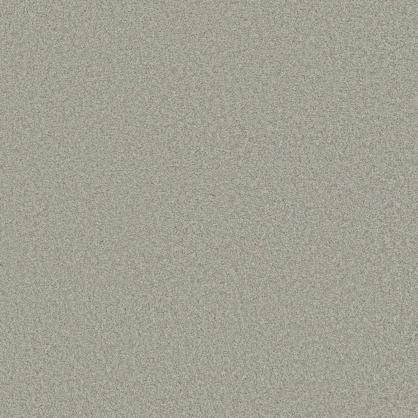 TEXTURE BCF