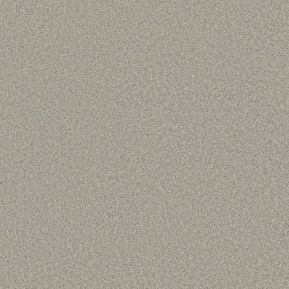 TEXTURE BCF