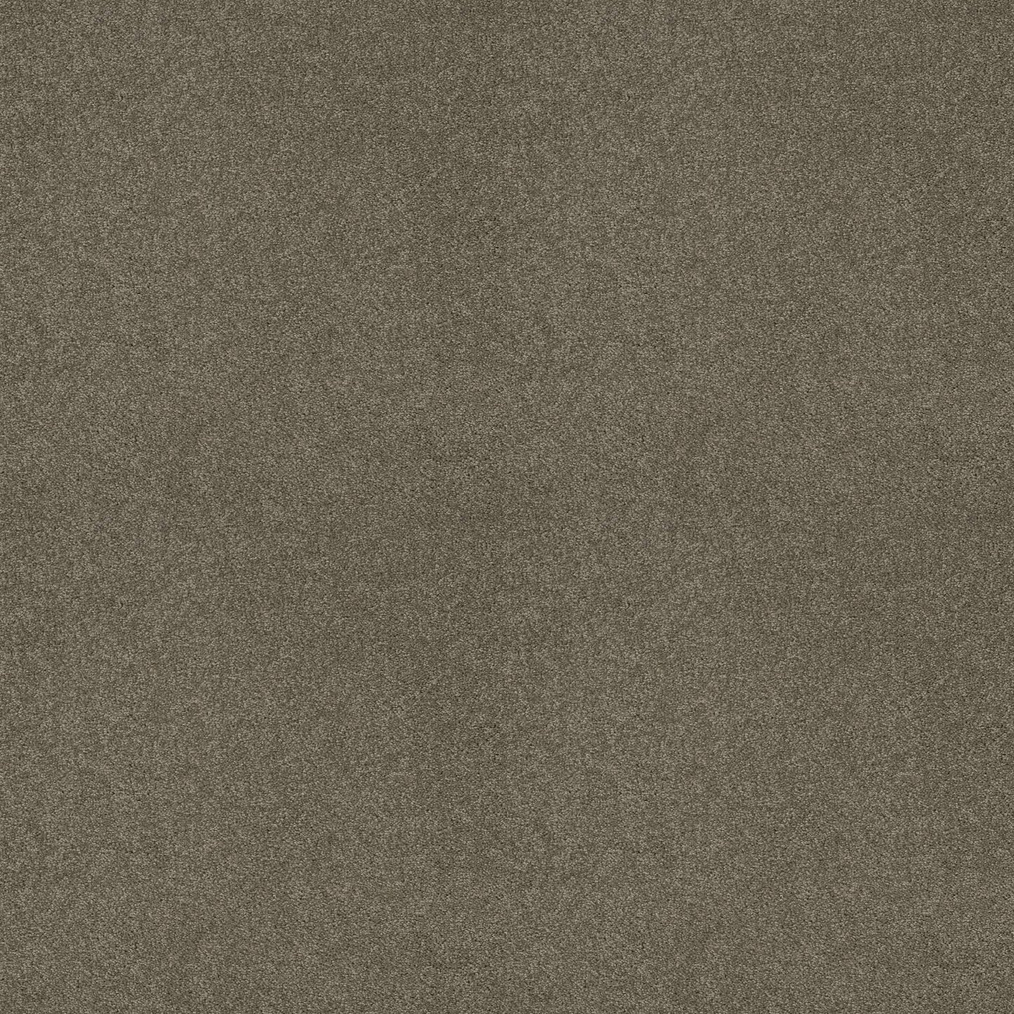 TEXTURE BCF