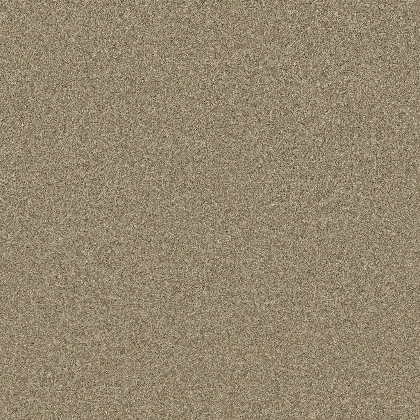 TEXTURE BCF