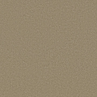 TEXTURE BCF