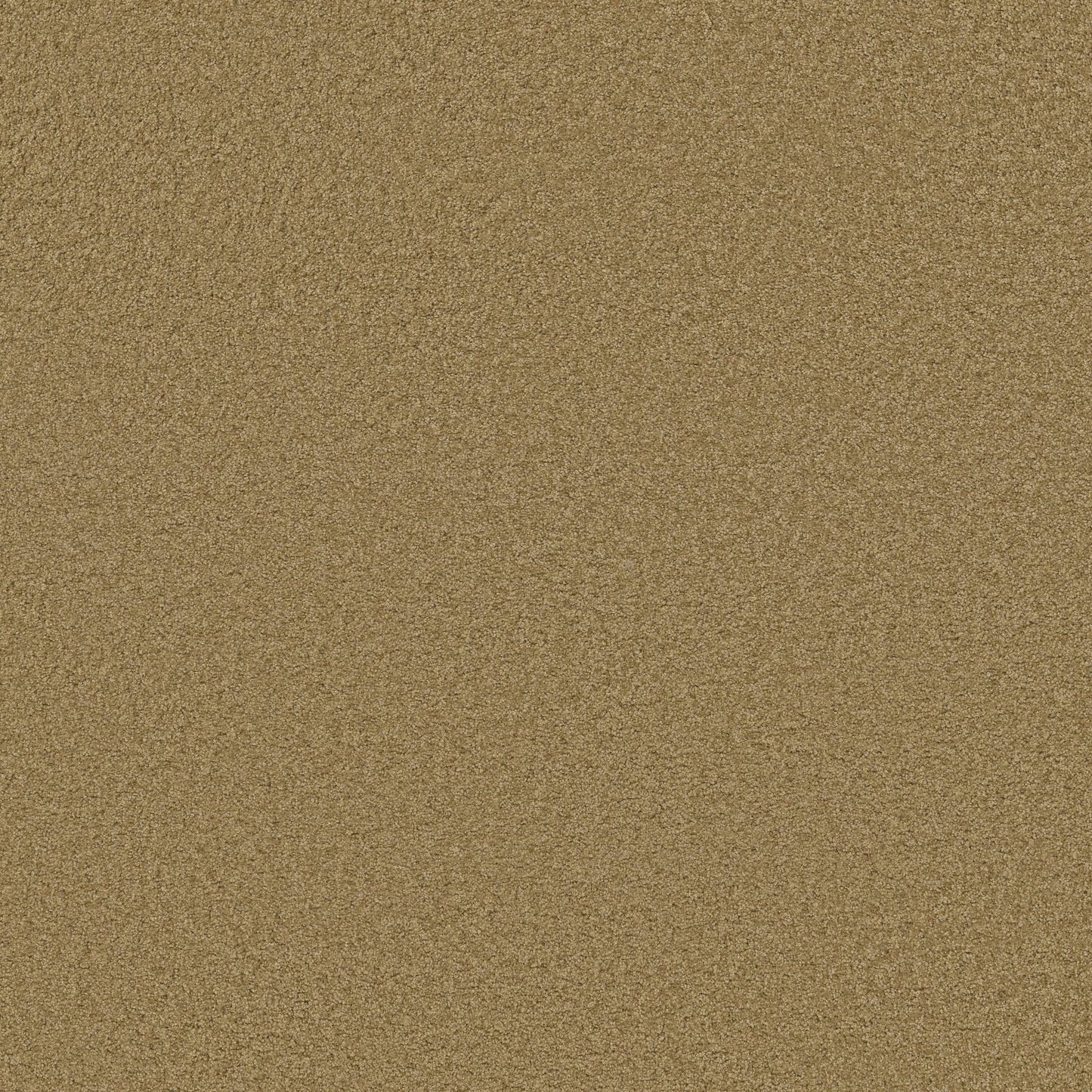 TEXTURE BCF
