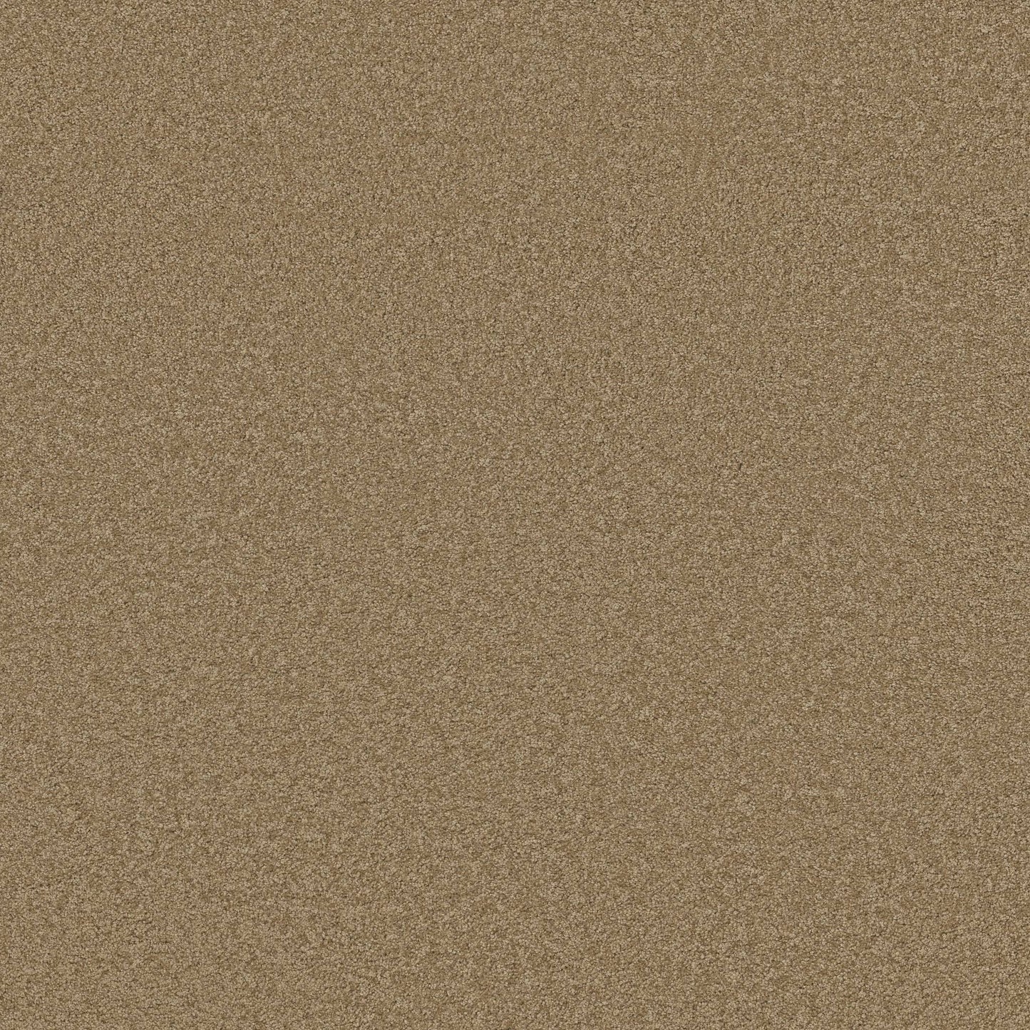 TEXTURE BCF