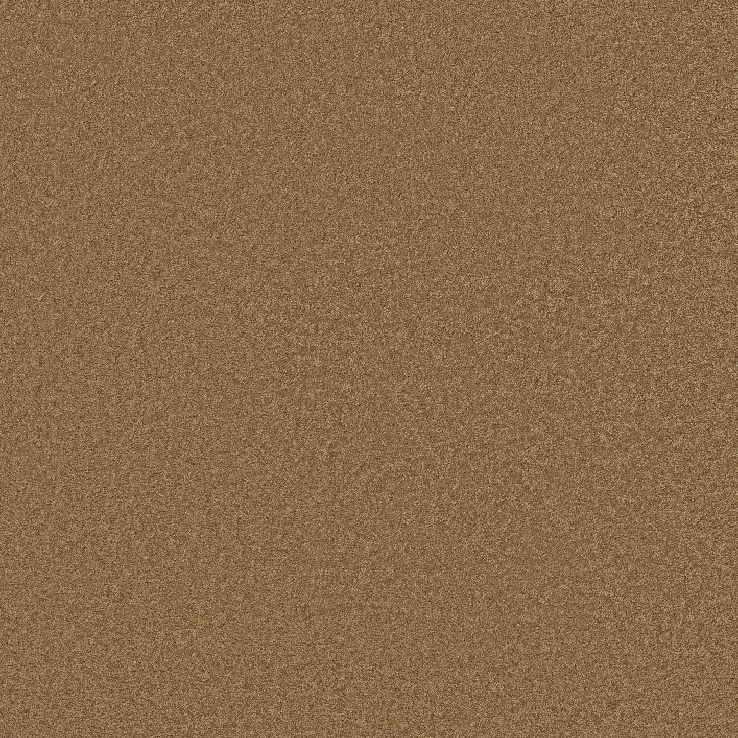TEXTURE BCF