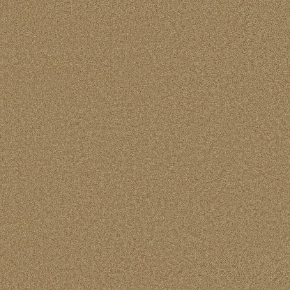 TEXTURE BCF