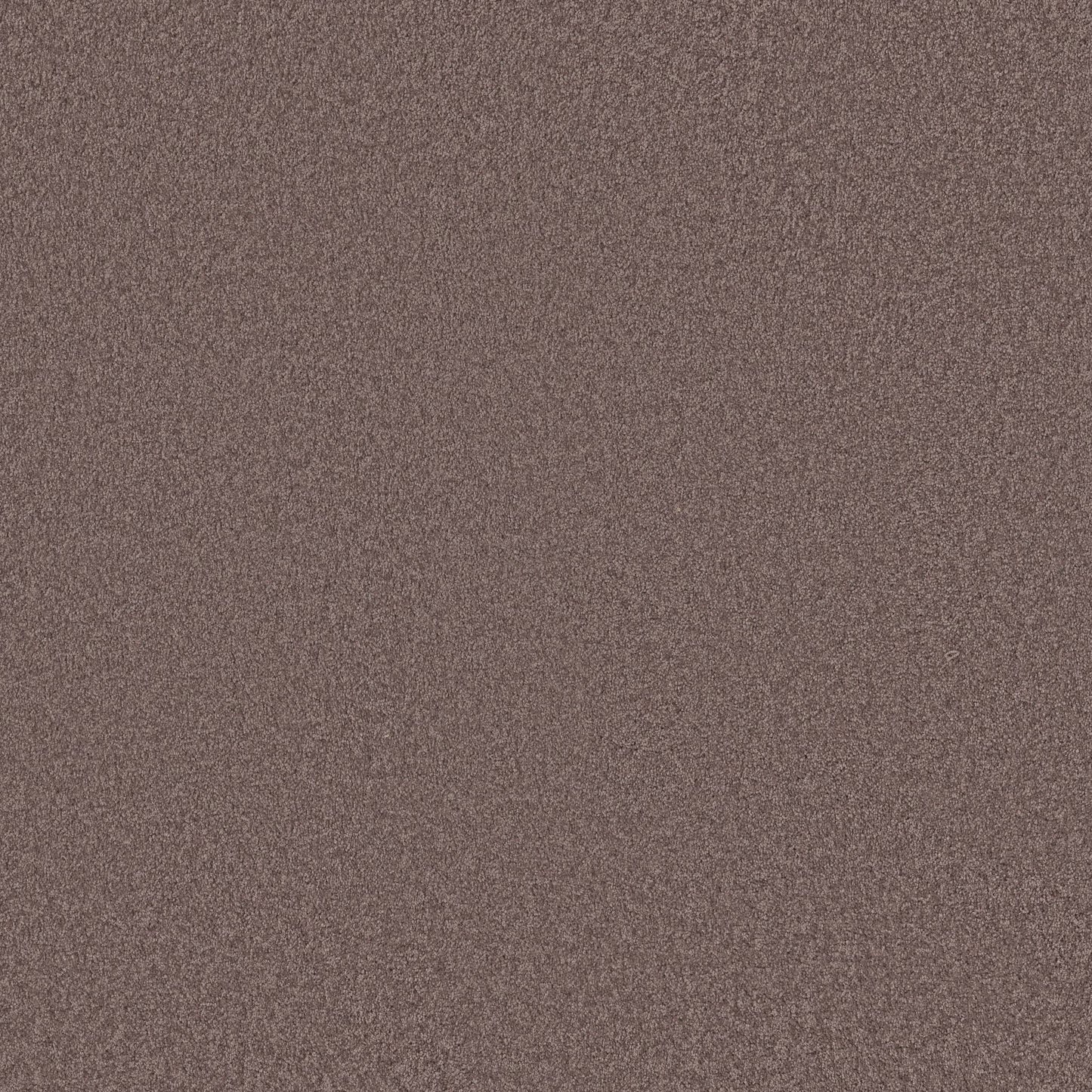 TEXTURE BCF