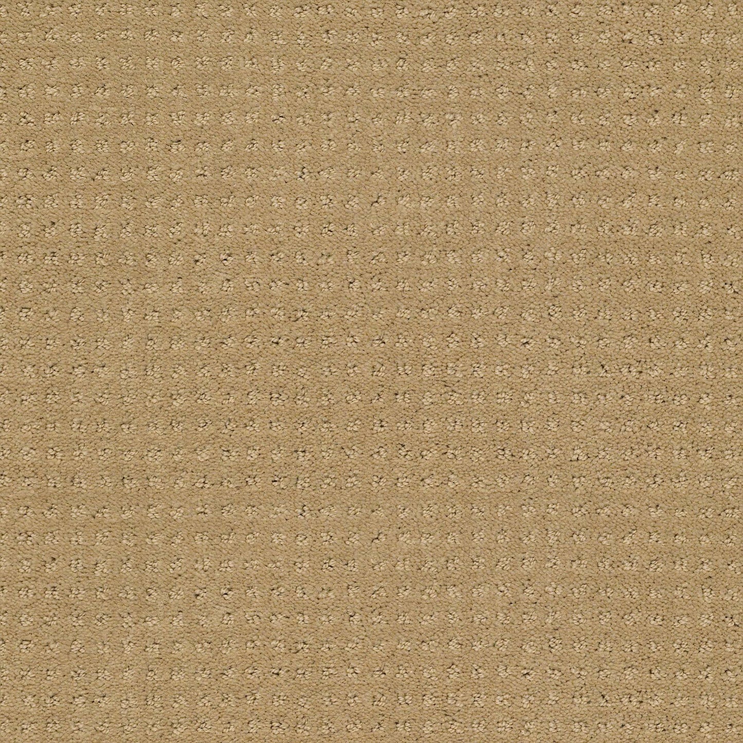 CUT UNCUT  R