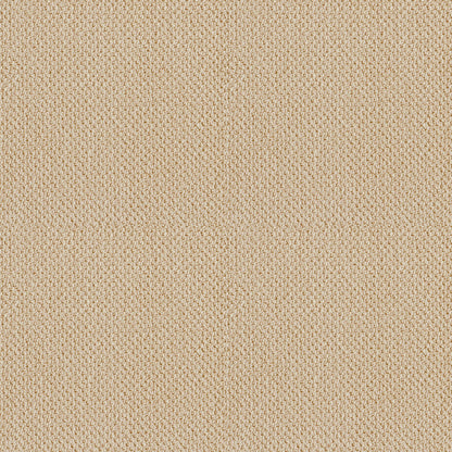BERBER NYLON LOOP