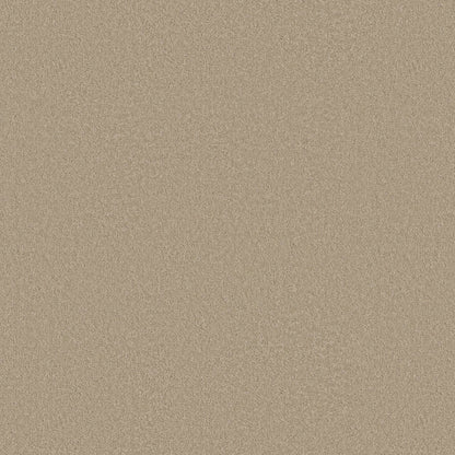 TEXTURE BCF