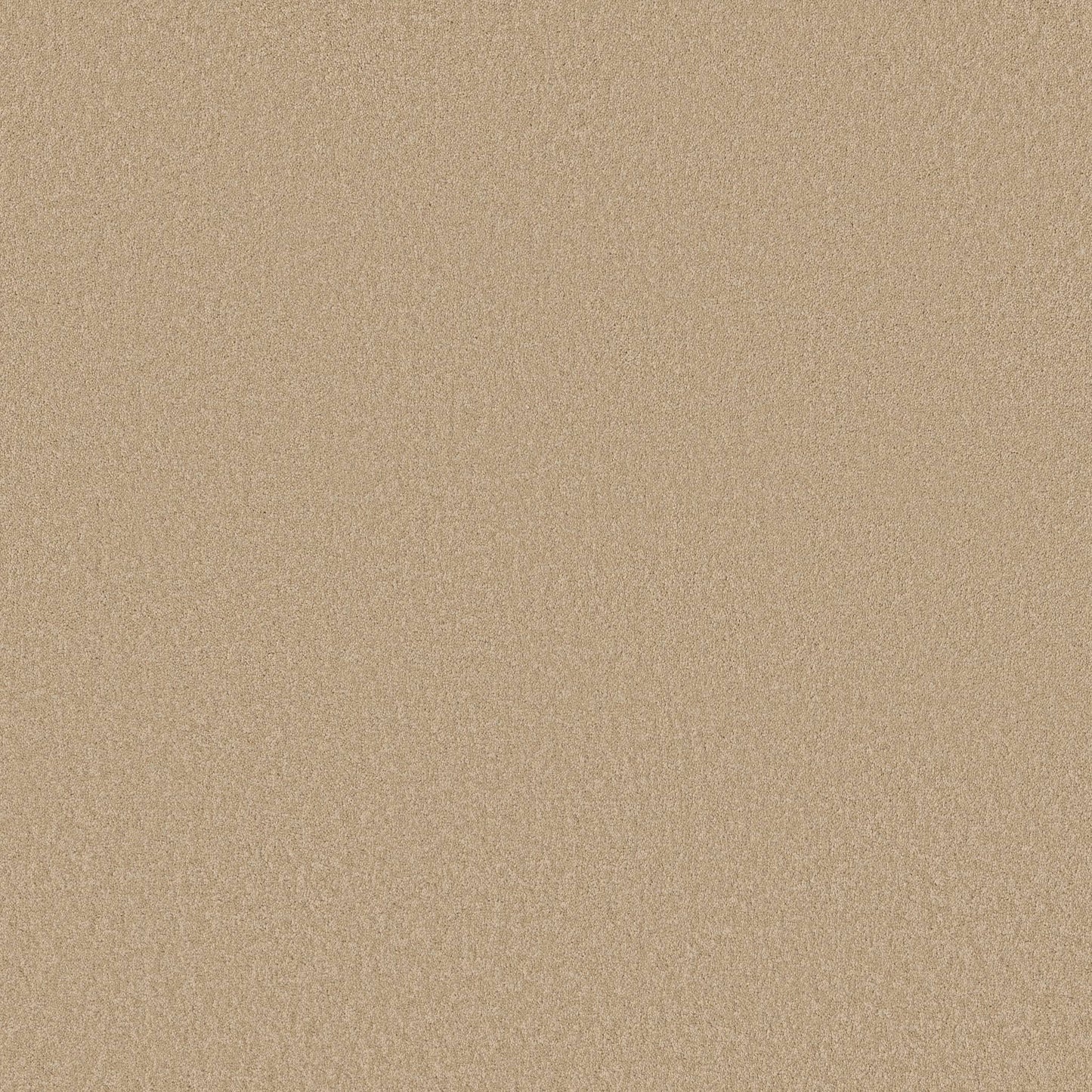 TEXTURE BCF