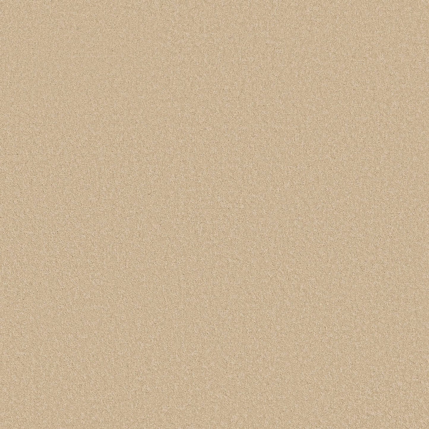 TEXTURE BCF