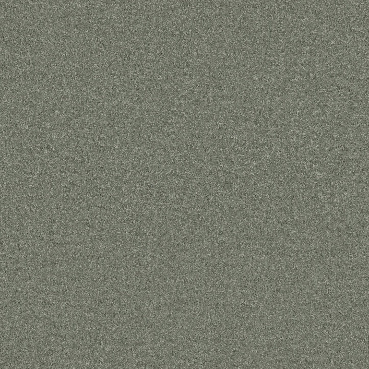 TEXTURE BCF