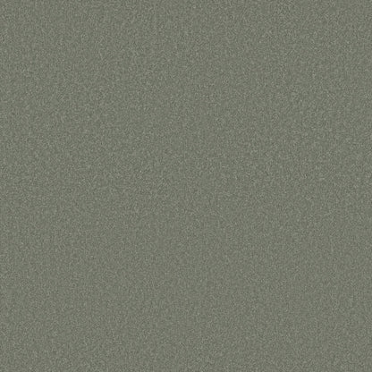 TEXTURE BCF