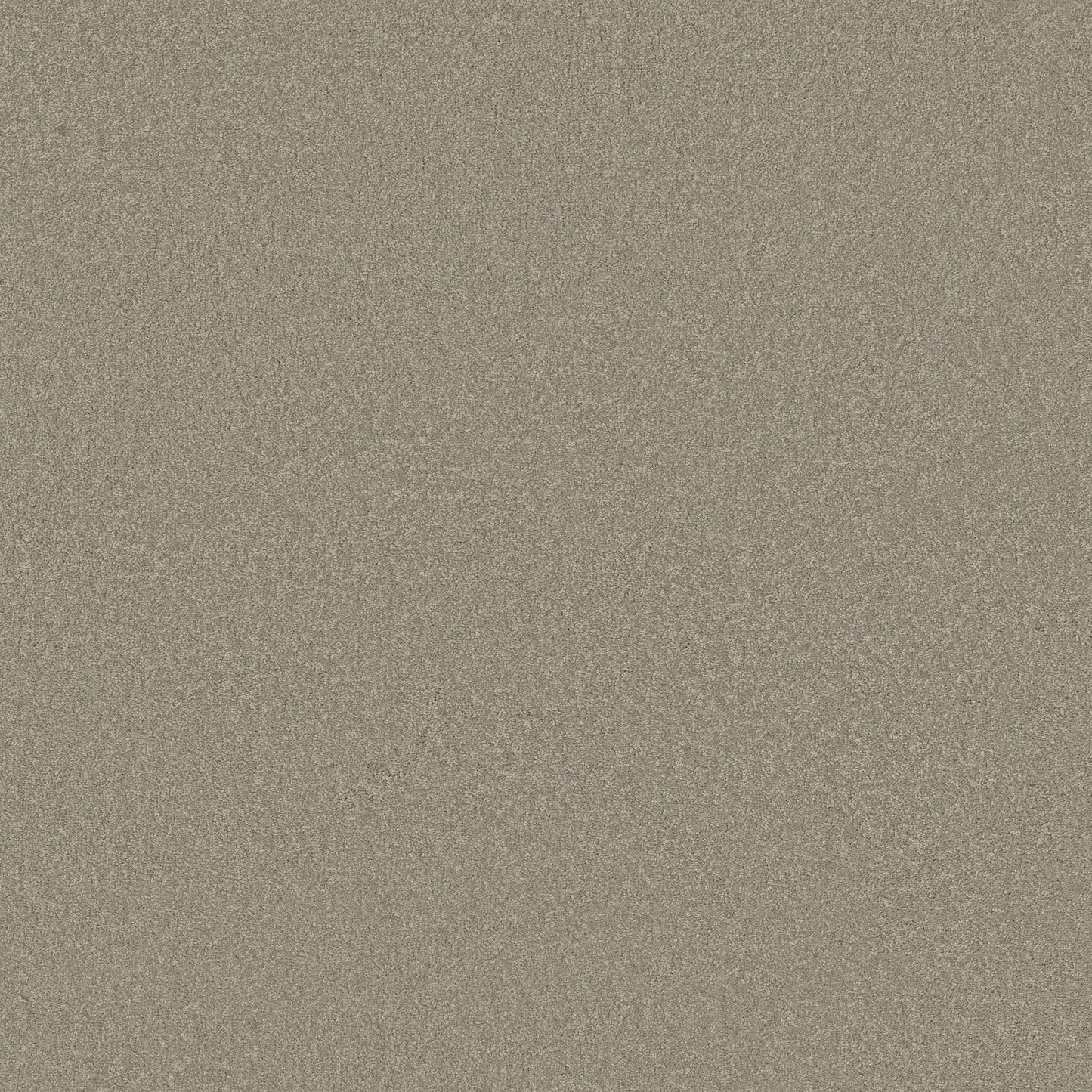 TEXTURE BCF