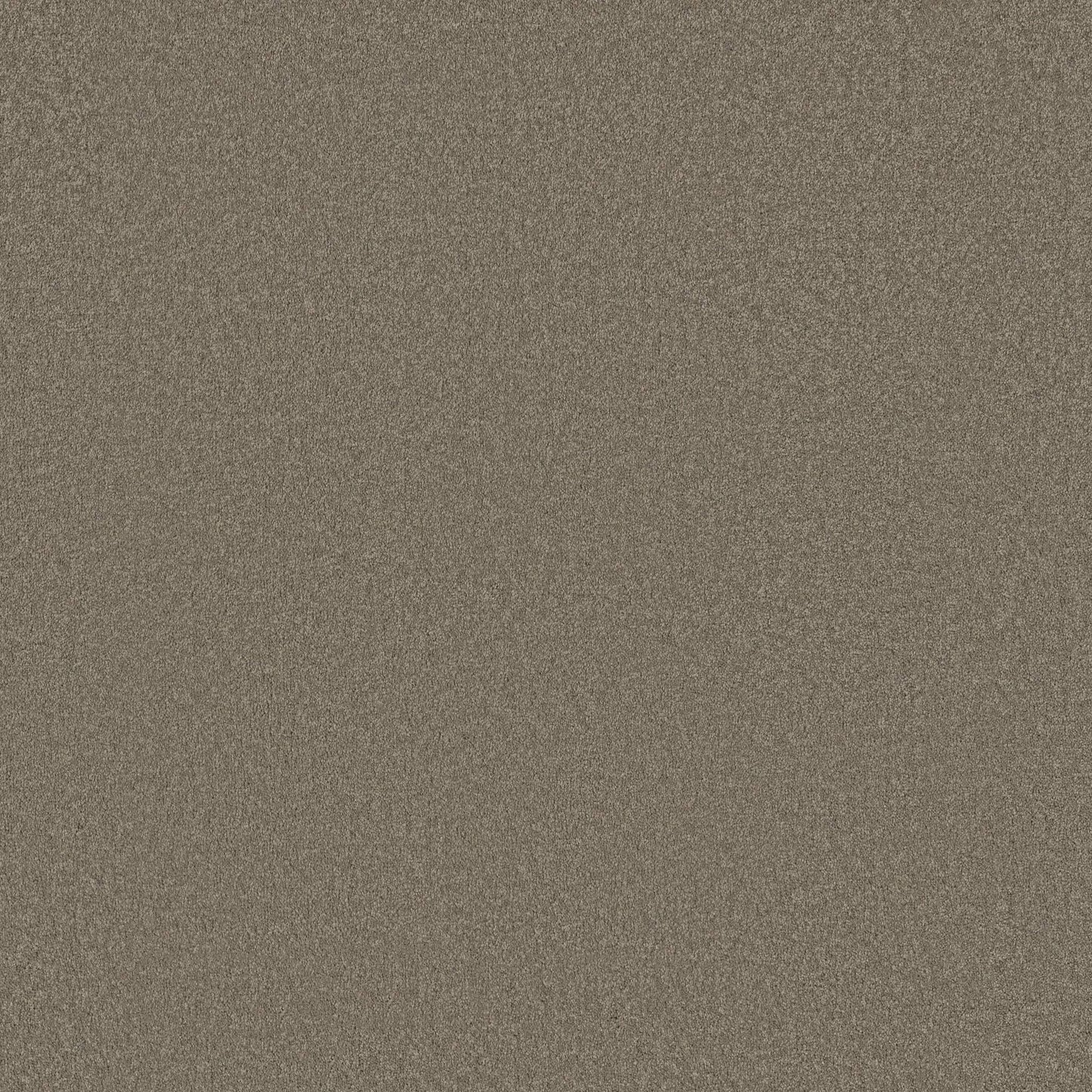TEXTURE BCF