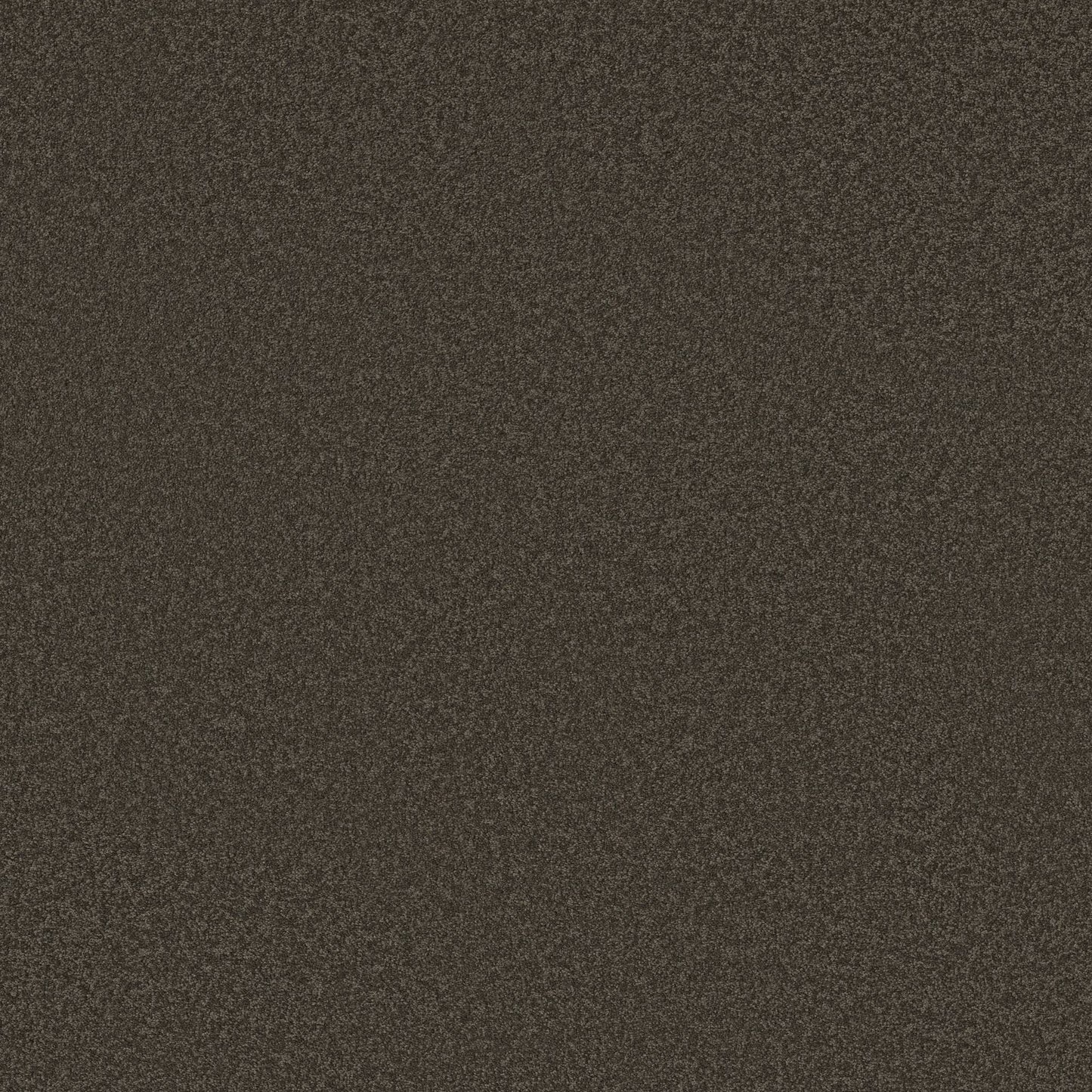TEXTURE BCF