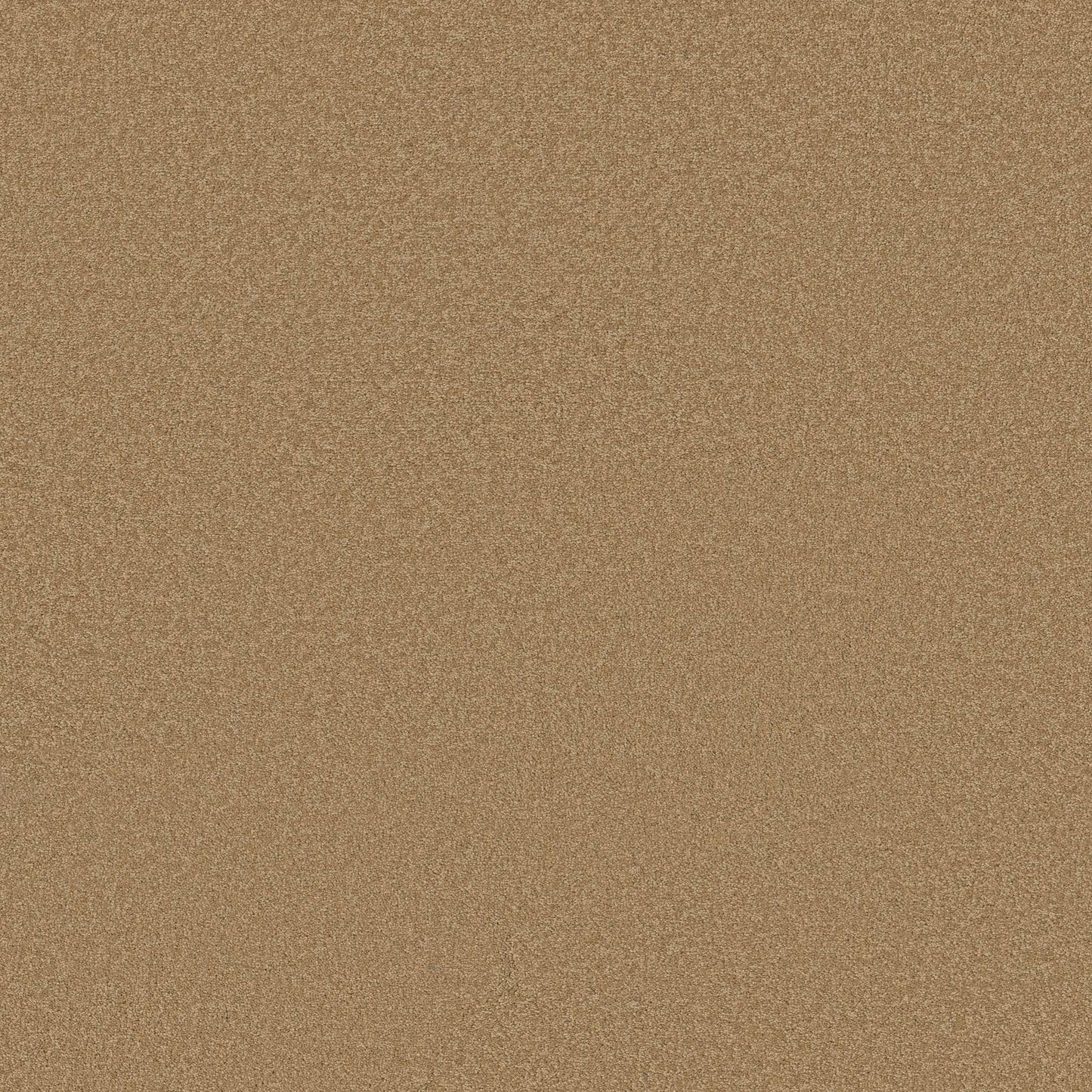 TEXTURE BCF