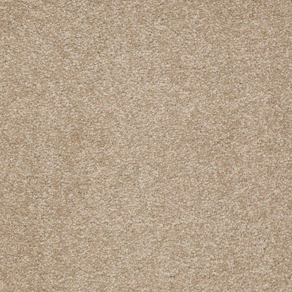 TEXTURE BCF