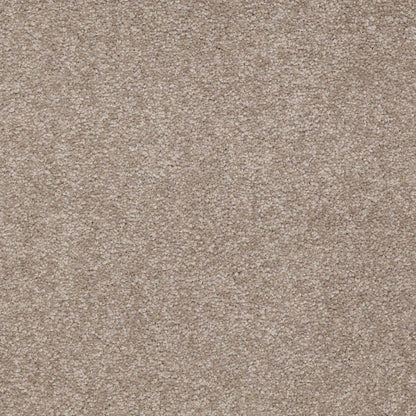 TEXTURE BCF
