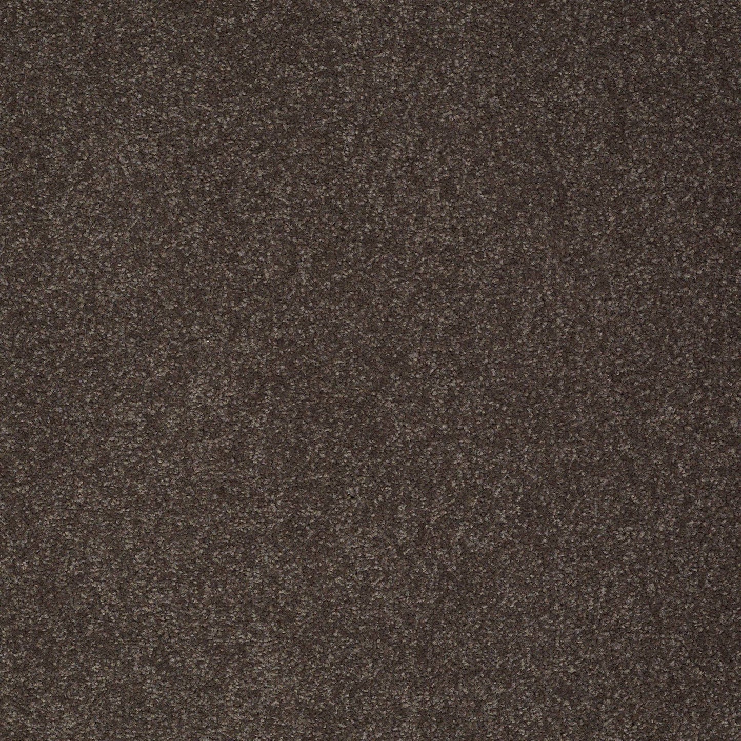 TEXTURE BCF