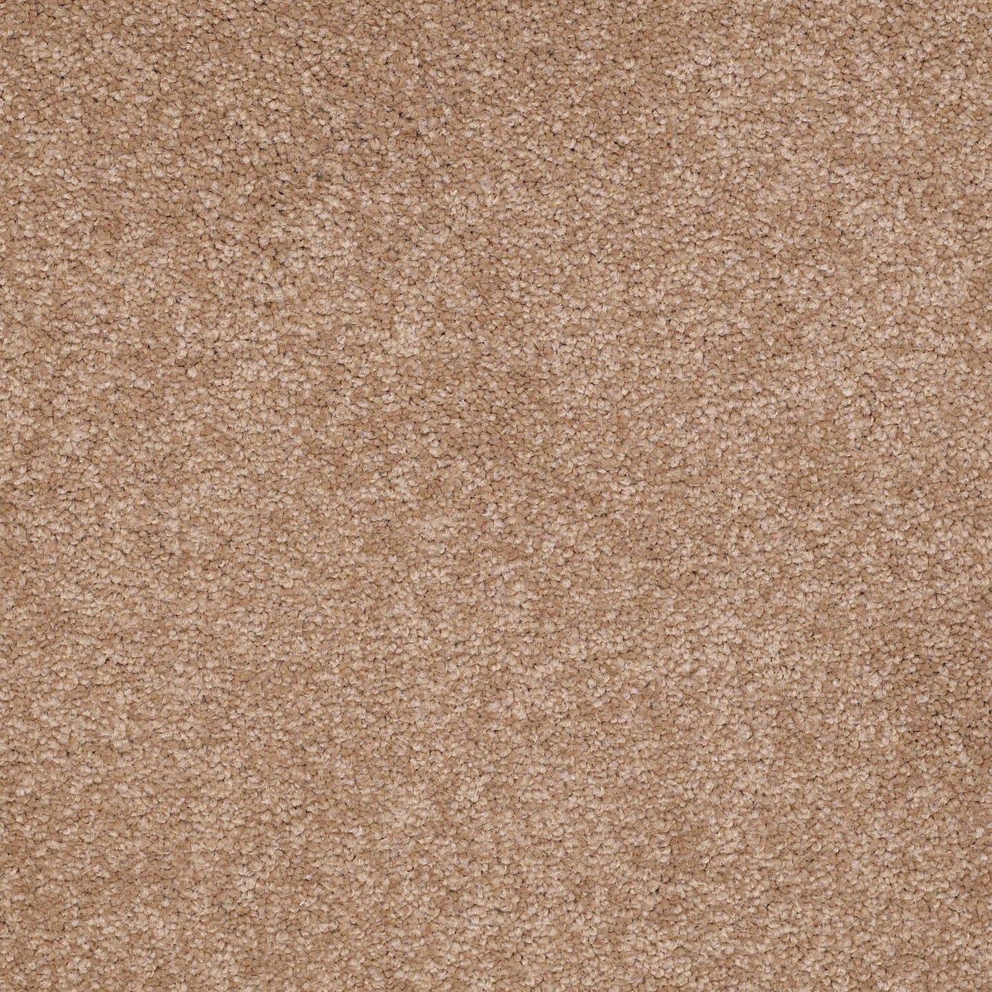 TEXTURE BCF