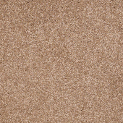 TEXTURE BCF