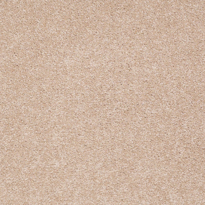 TEXTURE BCF