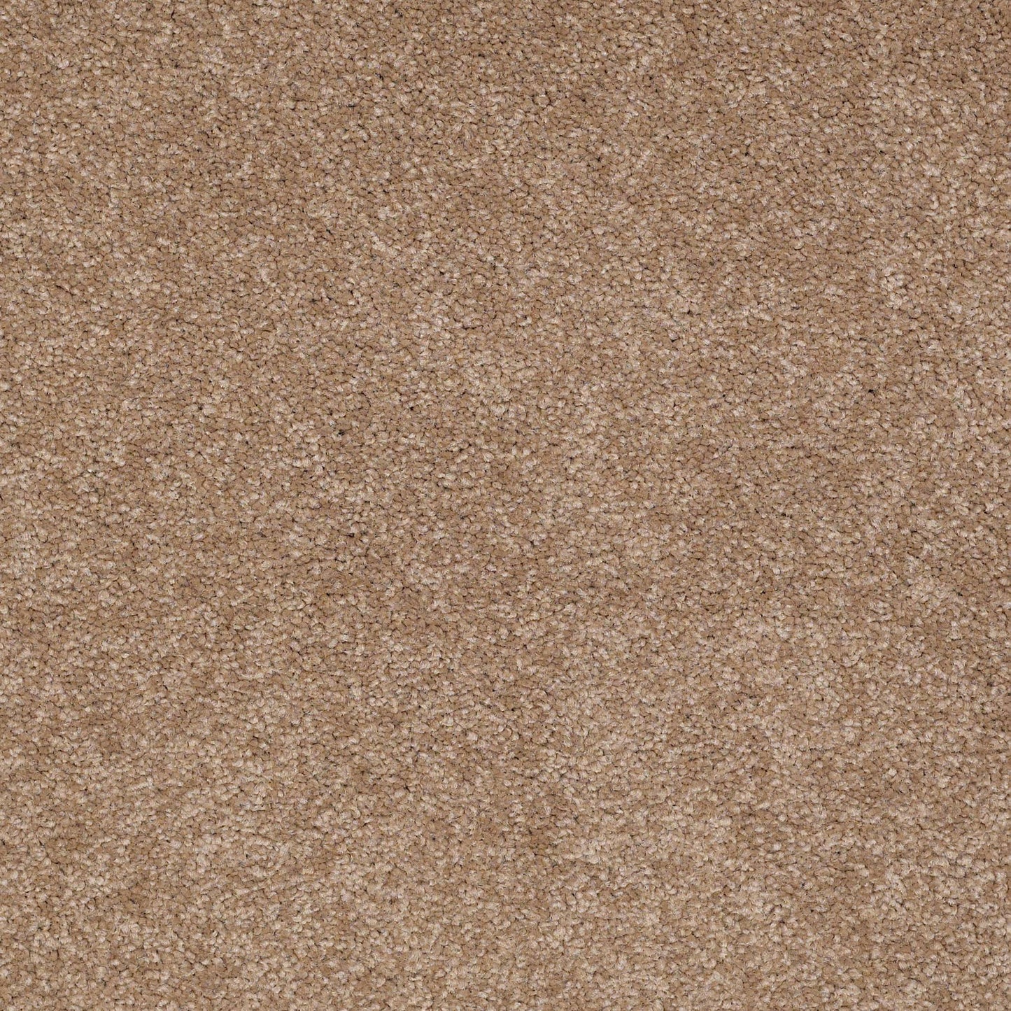 TEXTURE BCF