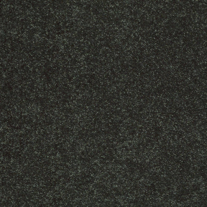 TEXTURE BCF