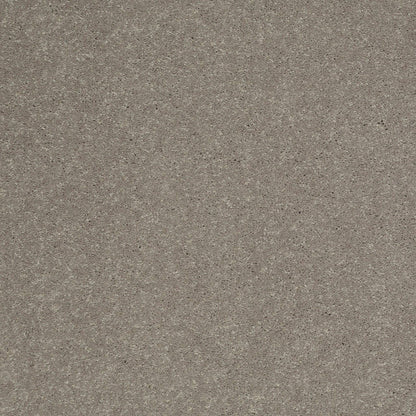 TEXTURE BCF