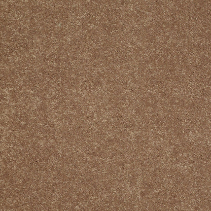 TEXTURE BCF