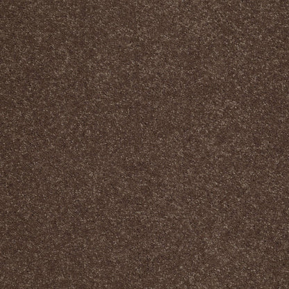 TEXTURE BCF