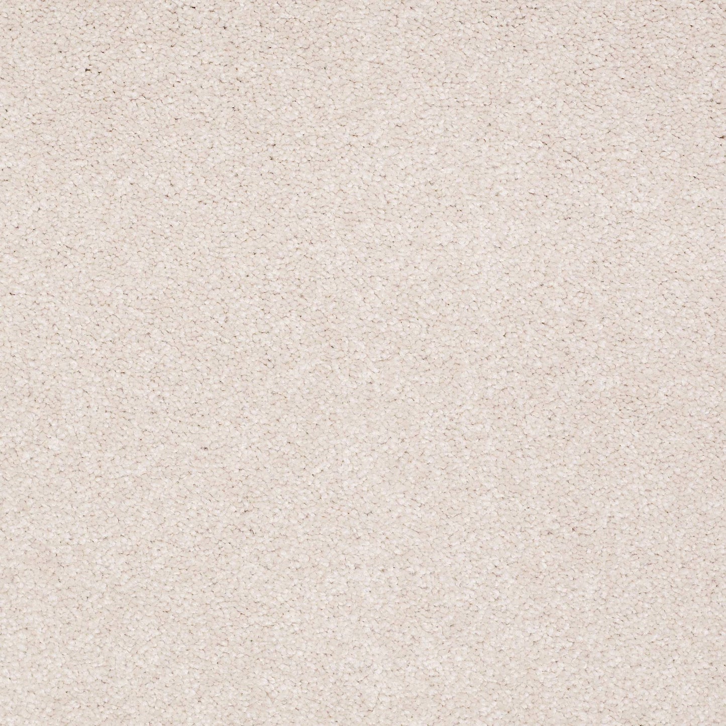 TEXTURE BCF