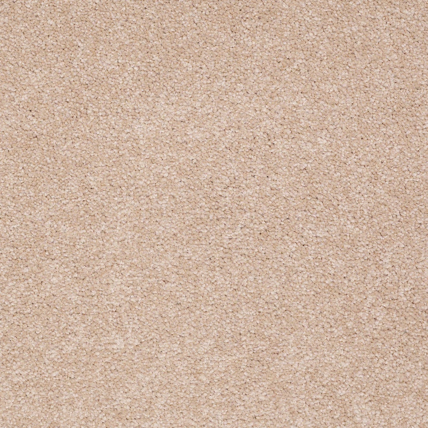 TEXTURE BCF