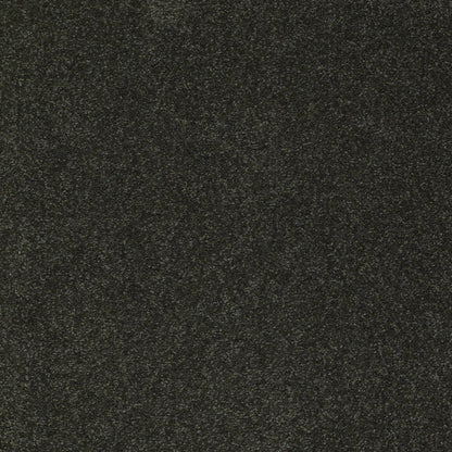 TEXTURE BCF